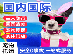 玉龙航空货运国际宠物托运 【国